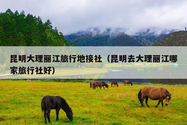 昆明大理丽江旅行地接社（昆明去大理丽江哪家旅行社好）
