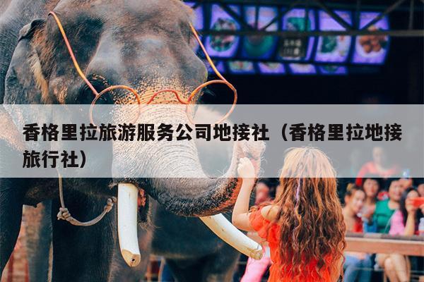 香格里拉旅游服务公司地接社（香格里拉地接旅行社）