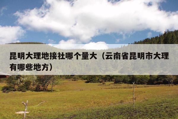 昆明大理地接社哪个量大（云南省昆明市大理有哪些地方）