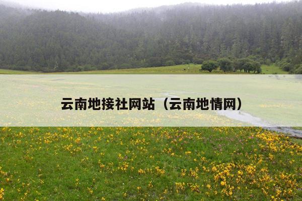 云南地接社网站（云南地情网）