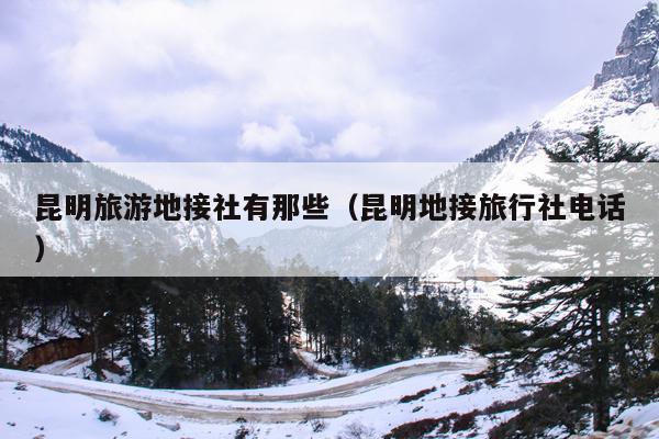 昆明旅游地接社有那些（昆明地接旅行社电话）