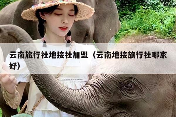 云南旅行社地接社加盟（云南地接旅行社哪家好）
