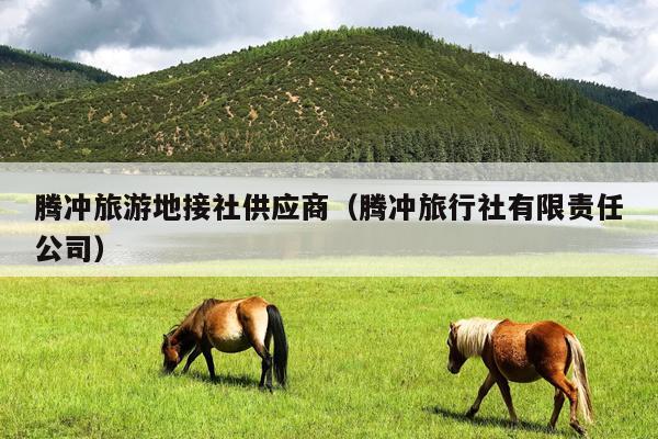 腾冲旅游地接社供应商（腾冲旅行社有限责任公司）