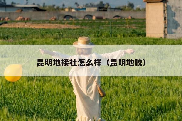 昆明地接社怎么样（昆明地胶）
