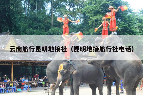 云南旅行昆明地接社（昆明地接旅行社电话）