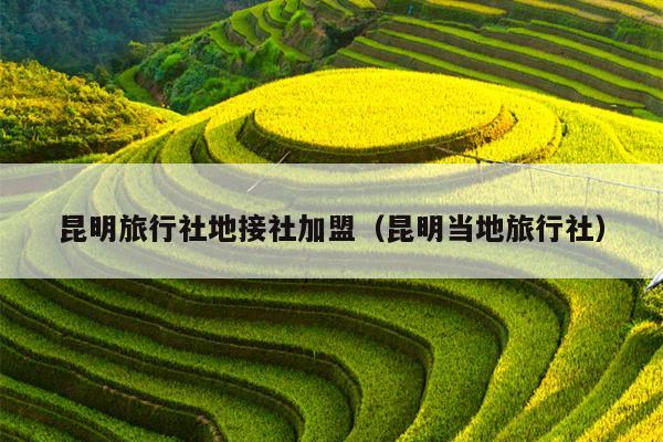 昆明旅行社地接社加盟（昆明当地旅行社）