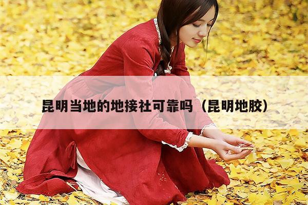昆明当地的地接社可靠吗（昆明地胶）