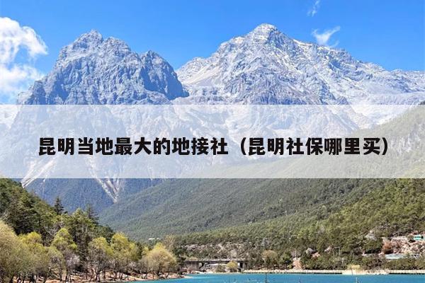 昆明当地最大的地接社（昆明社保哪里买）