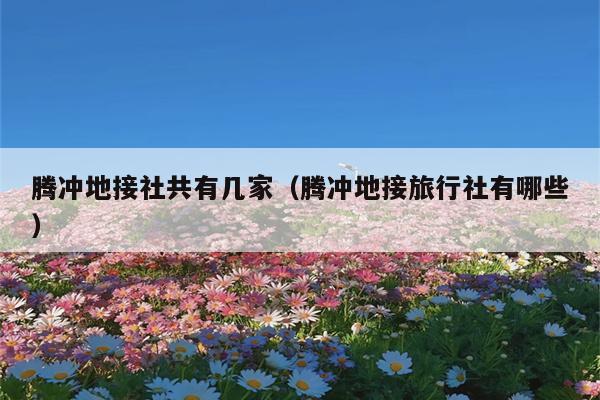 腾冲地接社共有几家（腾冲地接旅行社有哪些）