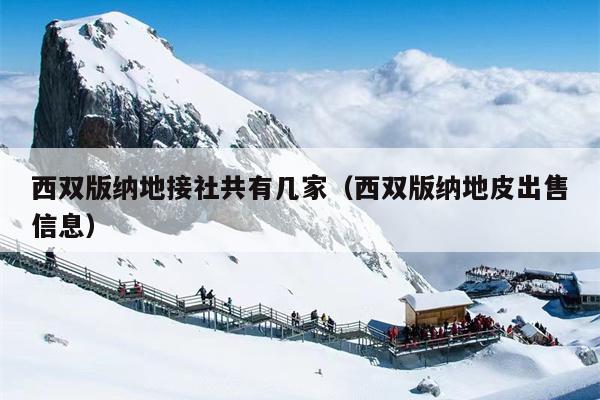 西双版纳地接社共有几家（西双版纳地皮出售信息）