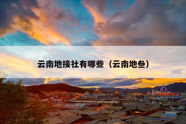 云南地接社有哪些（云南地叁）