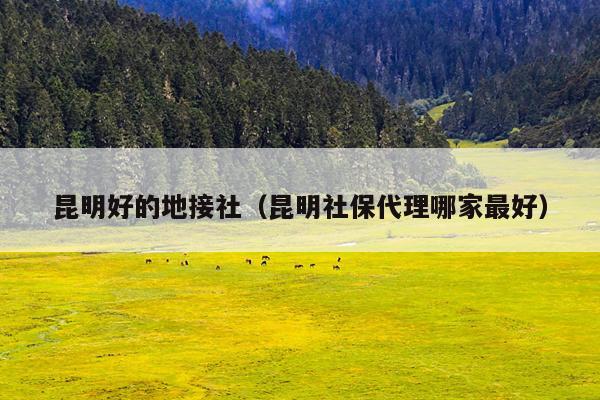 昆明好的地接社（昆明社保代理哪家最好）