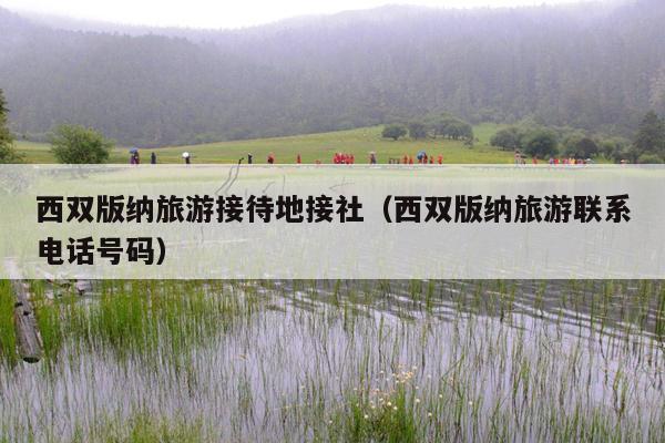 西双版纳旅游接待地接社（西双版纳旅游联系电话号码）