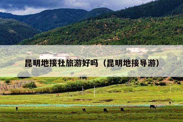 昆明地接社旅游好吗（昆明地接导游）