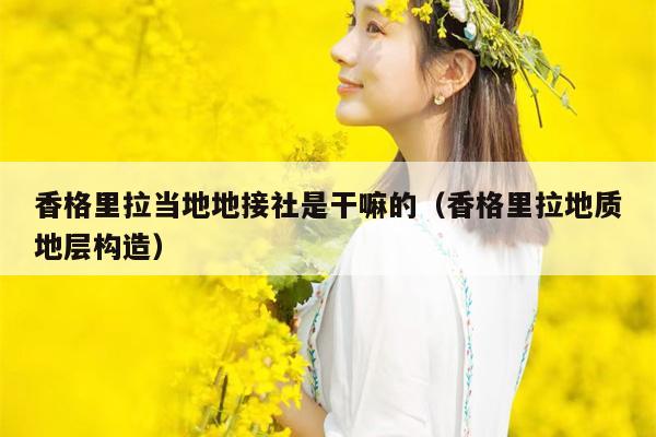 香格里拉当地地接社是干嘛的（香格里拉地质地层构造）