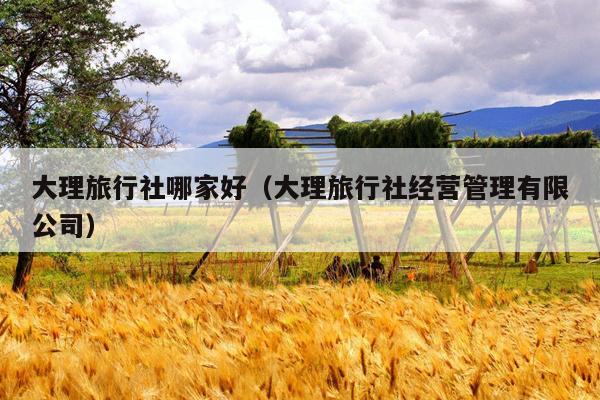 大理旅行社哪家好（大理旅行社经营管理有限公司）