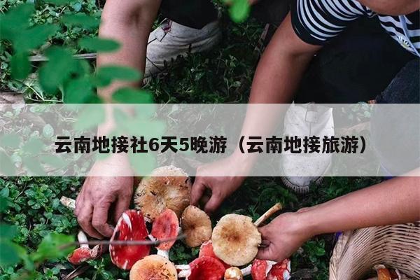 云南地接社6天5晚游（云南地接旅游）
