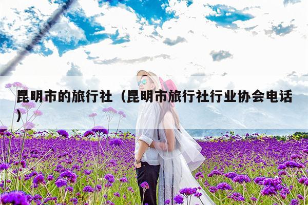 昆明市的旅行社（昆明市旅行社行业协会电话）