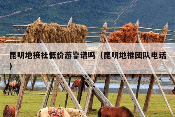 昆明地接社低价游靠谱吗（昆明地推团队电话）