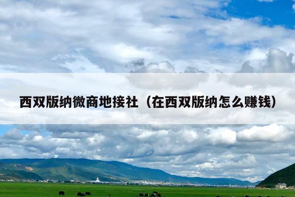 西双版纳微商地接社（在西双版纳怎么赚钱）
