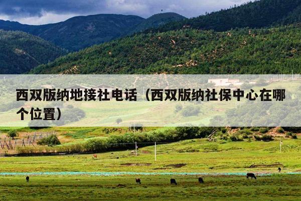 西双版纳地接社电话（西双版纳社保中心在哪个位置）