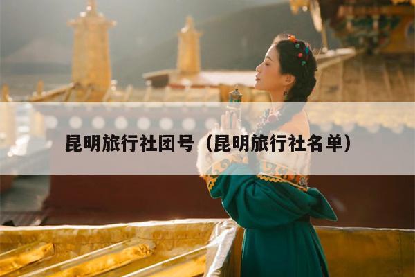 昆明旅行社团号（昆明旅行社名单）