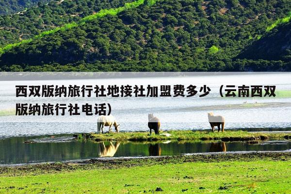 西双版纳旅行社地接社加盟费多少（云南西双版纳旅行社电话）
