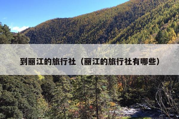 到丽江的旅行社（丽江的旅行社有哪些）
