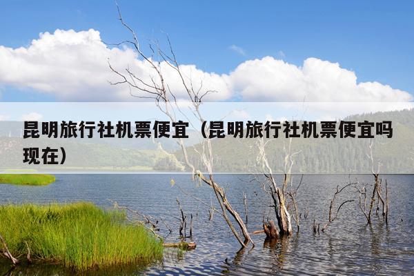 昆明旅行社机票便宜（昆明旅行社机票便宜吗现在）