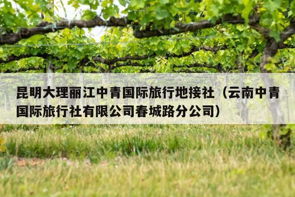 昆明大理丽江中青国际旅行地接社（云南中青国际旅行社有限公司春城路分公司）
