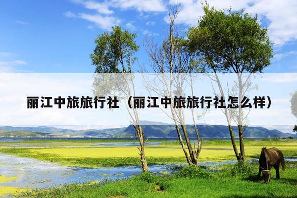 丽江中旅旅行社（丽江中旅旅行社怎么样）