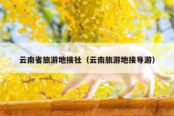 云南省旅游地接社（云南旅游地接导游）