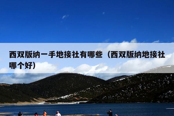 西双版纳一手地接社有哪些（西双版纳地接社哪个好）