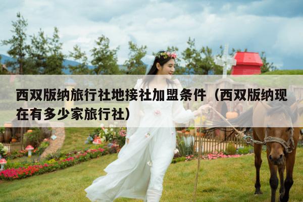 西双版纳旅行社地接社加盟条件（西双版纳现在有多少家旅行社）