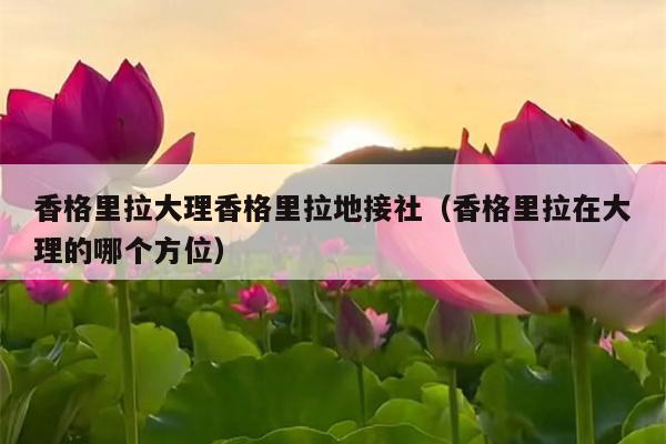 香格里拉大理香格里拉地接社（香格里拉在大理的哪个方位）