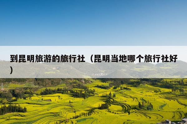 到昆明旅游的旅行社（昆明当地哪个旅行社好）