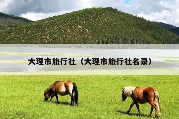 大理市旅行社（大理市旅行社名录）