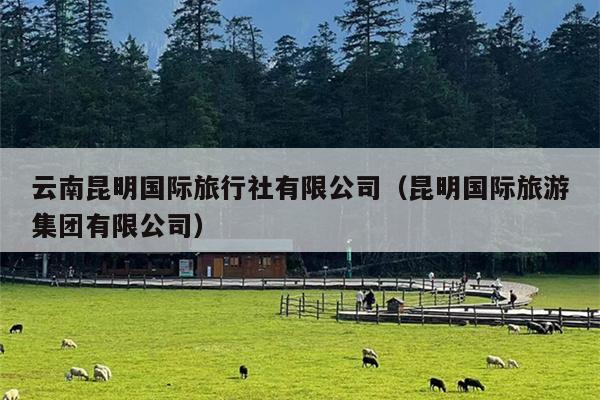 云南昆明国际旅行社有限公司（昆明国际旅游集团有限公司）