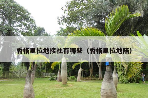 香格里拉地接社有哪些（香格里拉地陪）