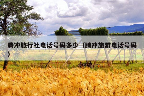 腾冲旅行社电话号码多少（腾冲旅游电话号码）