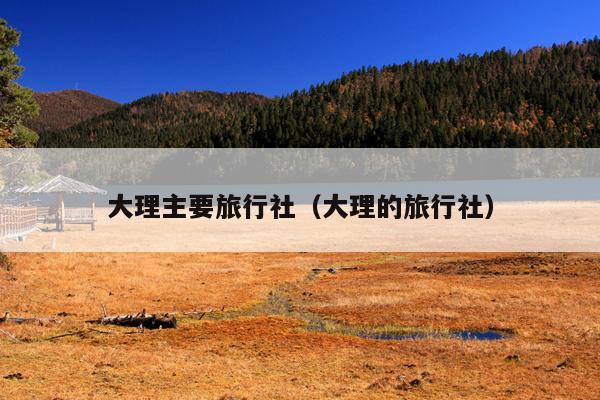 大理主要旅行社（大理的旅行社）