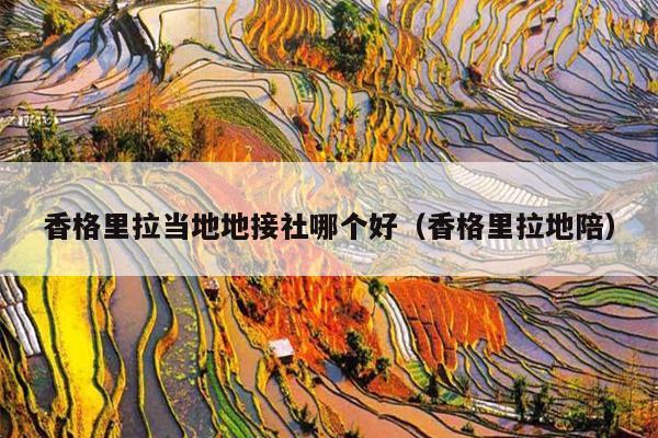 香格里拉当地地接社哪个好（香格里拉地陪）