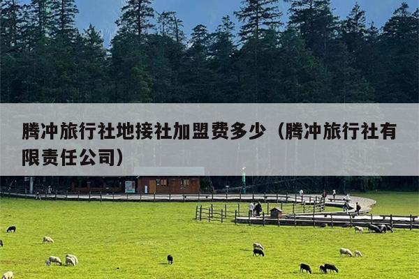 腾冲旅行社地接社加盟费多少（腾冲旅行社有限责任公司）