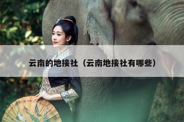 云南的地接社（云南地接社有哪些）