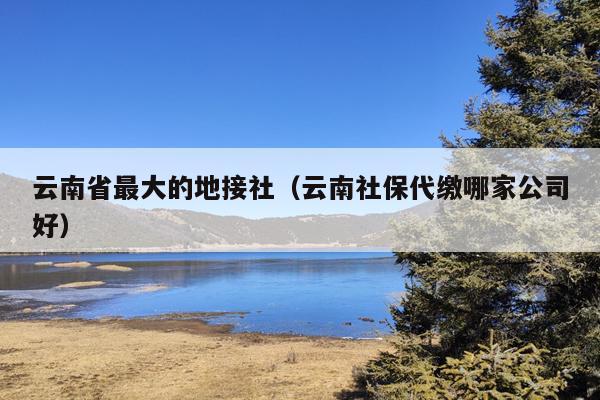 云南省最大的地接社（云南社保代缴哪家公司好）