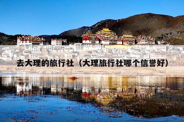 去大理的旅行社（大理旅行社哪个信誉好）