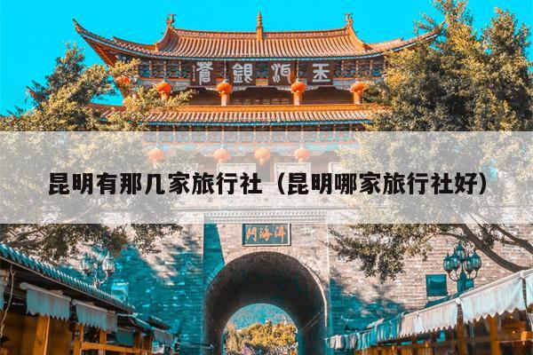 昆明有那几家旅行社（昆明哪家旅行社好）