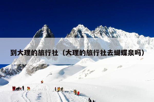 到大理的旅行社（大理的旅行社去蝴蝶泉吗）