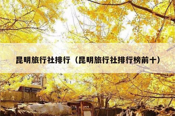 昆明旅行社排行（昆明旅行社排行榜前十）