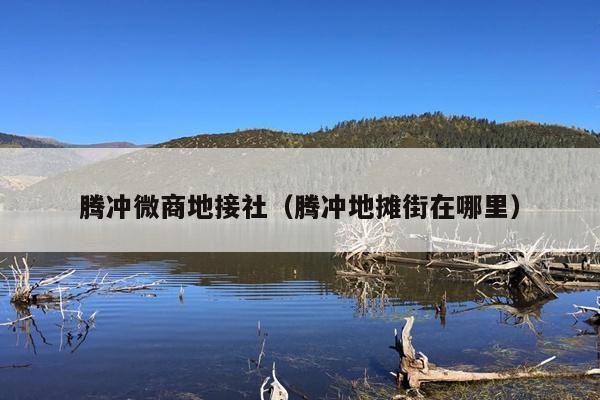 腾冲微商地接社（腾冲地摊街在哪里）
